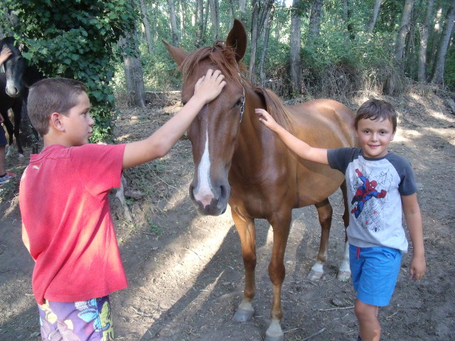 Con los caballos